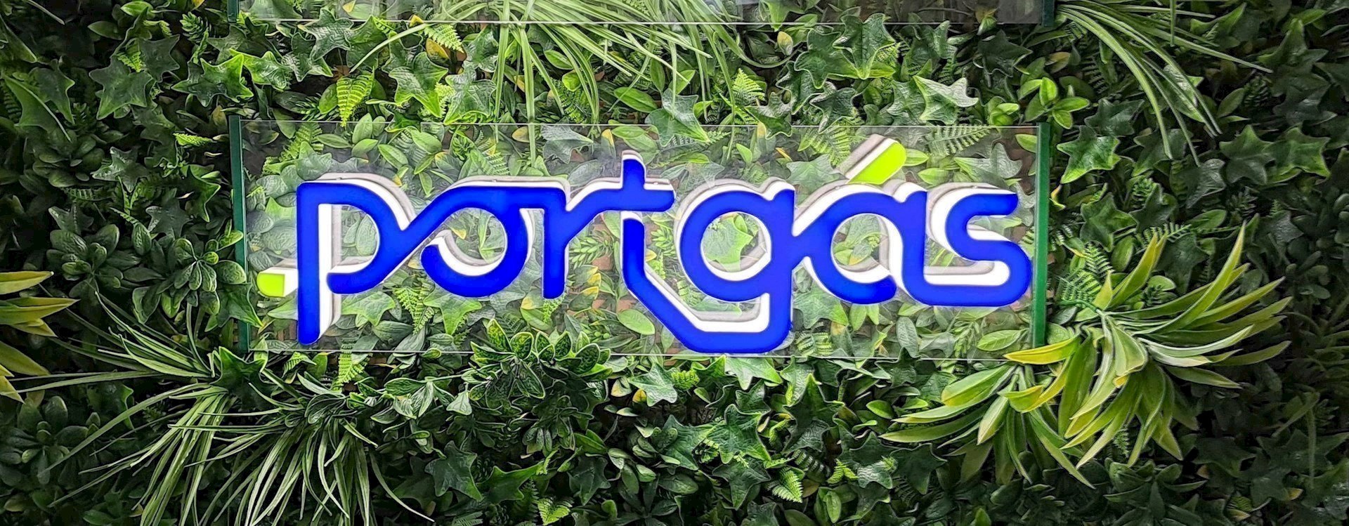 portgas descarbonização